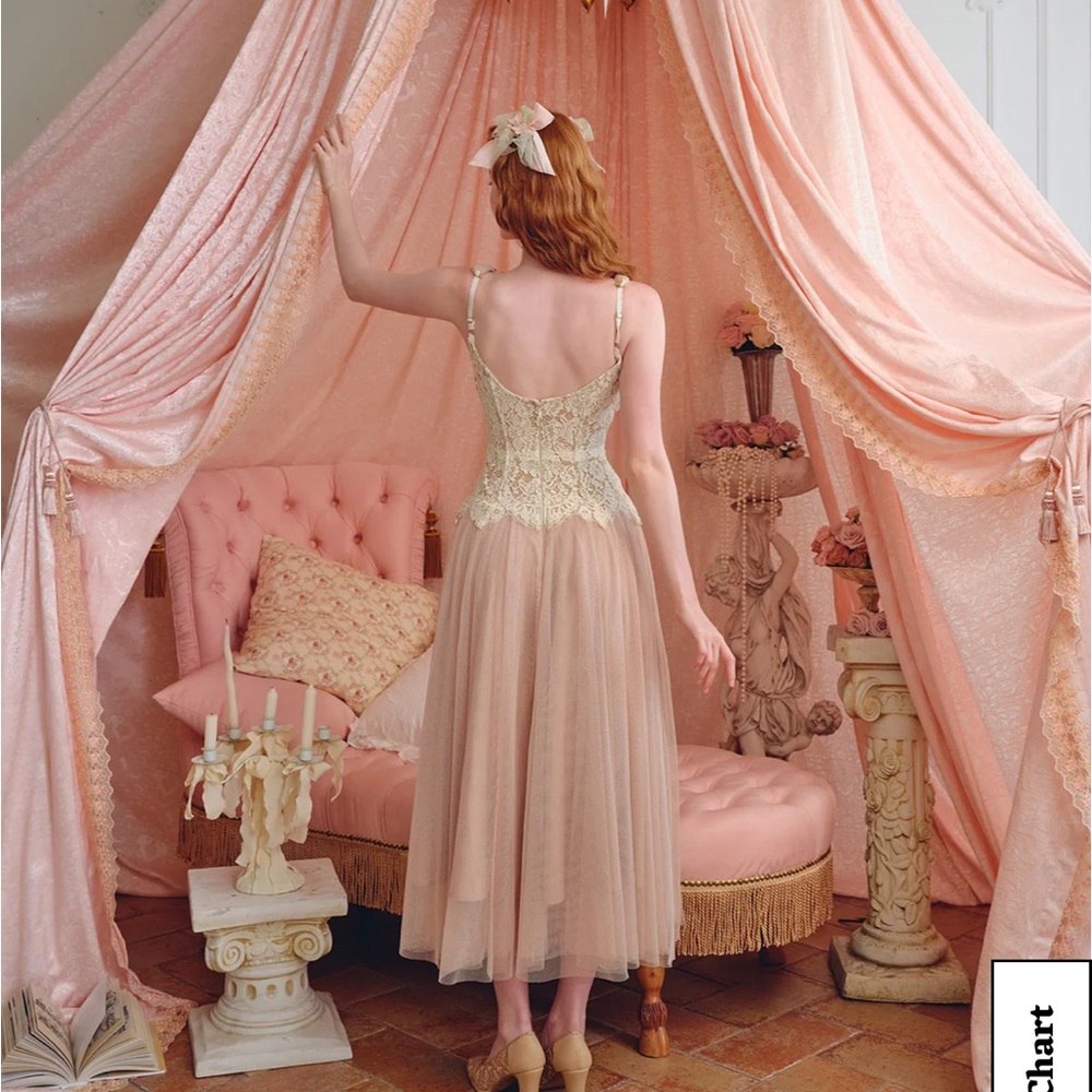 Delicate Flower-Embellished Lace Corset Dress in Blush - Picture 2 of 7